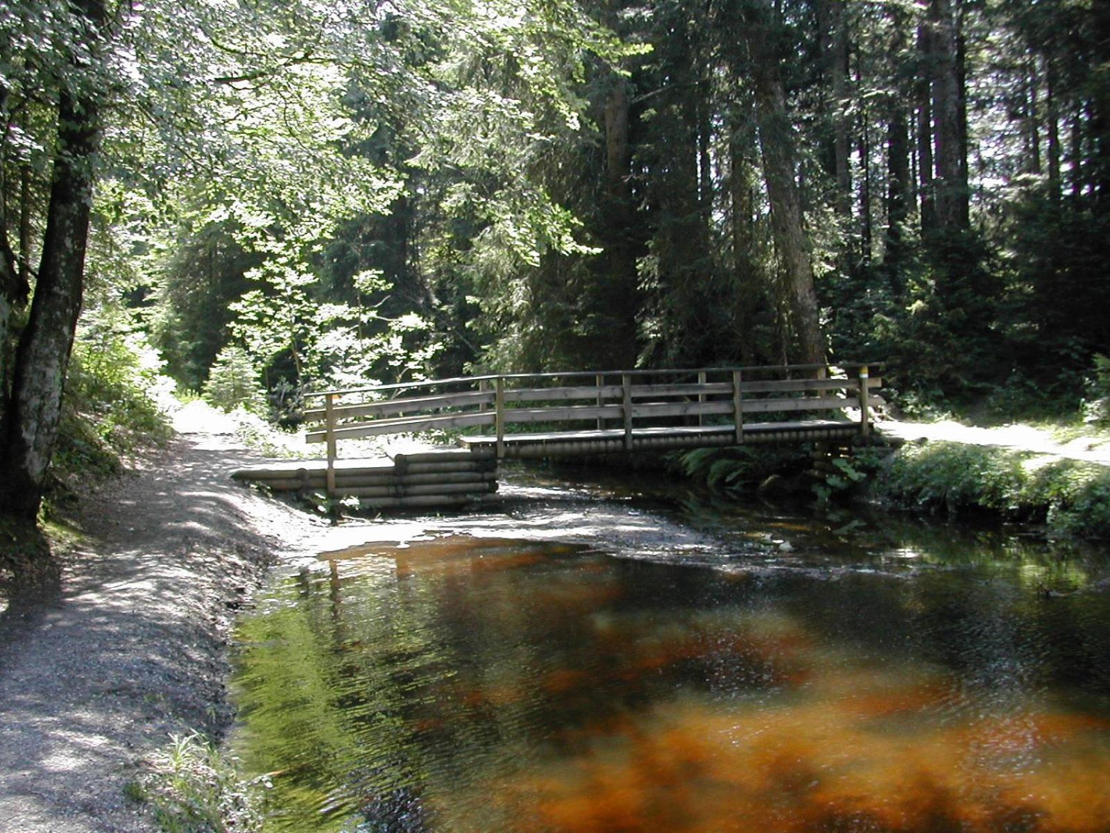 Hotel Marvia Schwarzenberg im Bregenzerwald Extérieur photo